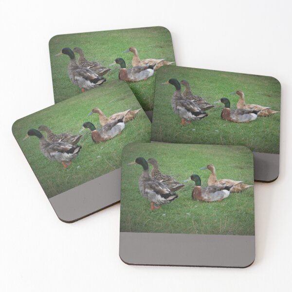 Item preview, Ducks on the Grass designed and sold by KazM.
