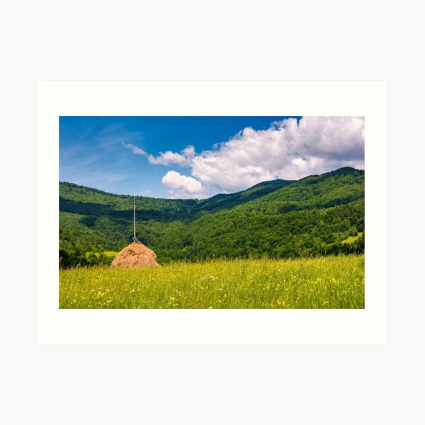 haystack on a grassy pasture in mountains Art Print