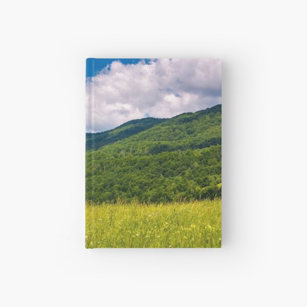 haystack on a grassy pasture in mountains Hardcover Journal