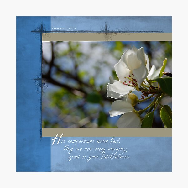 Item preview, Apple Blossoms designed and sold by back40fotos.