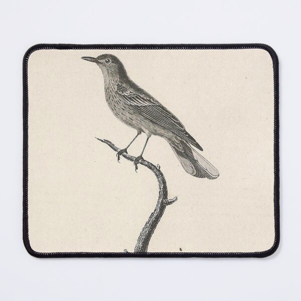 Item preview, Tiger Warbler designed and sold by ptMaker.