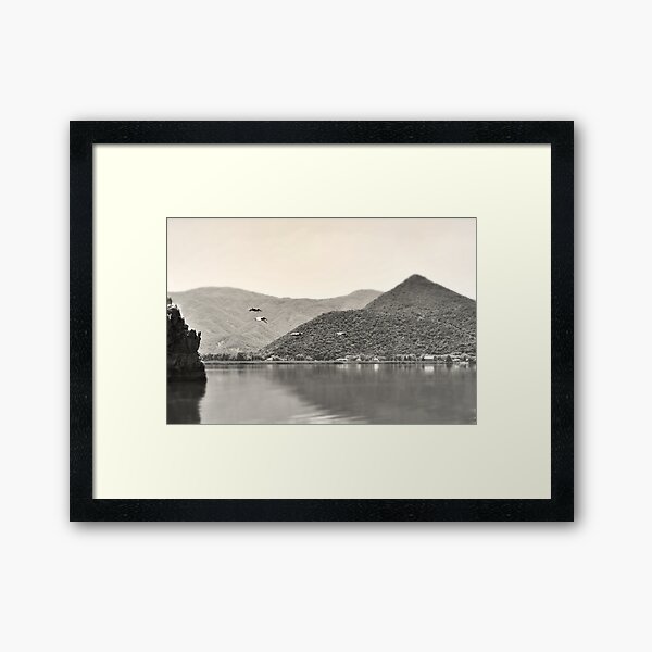 Item preview, Réflexion de lac noir et blanc et pélicans designed and sold by by-jwp.