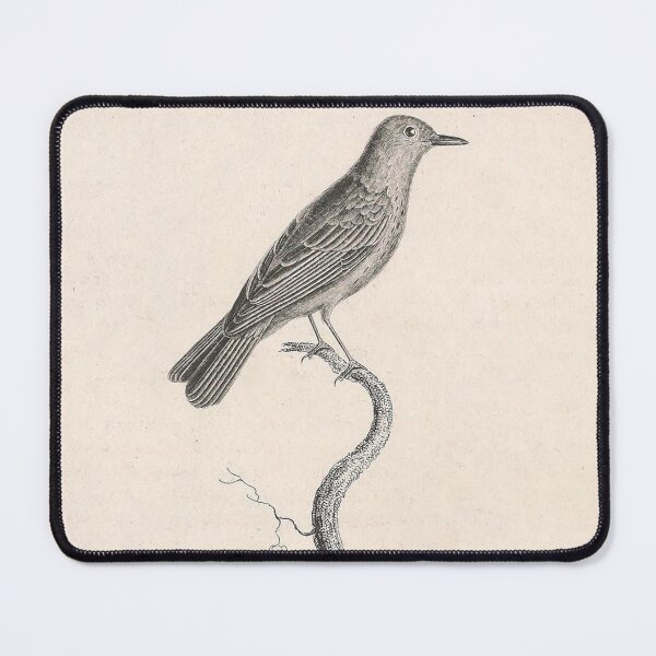 Item preview, The Spotted Warbler designed and sold by ptMaker.