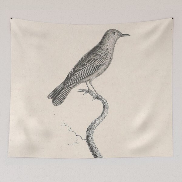 Item preview, The Spotted Warbler designed and sold by ptMaker.