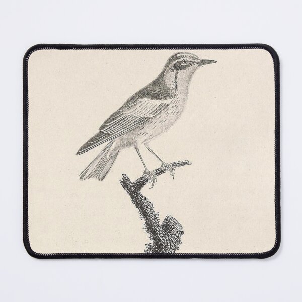 Item preview, The Blackburnian warbler designed and sold by ptMaker.