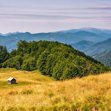 Artwork thumbnail, shed near the forest on a grassy slope by mike-pellinni