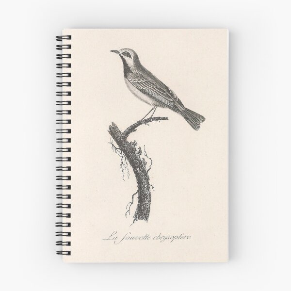 Item preview, The Chrysoptera Warbler designed and sold by ptMaker.