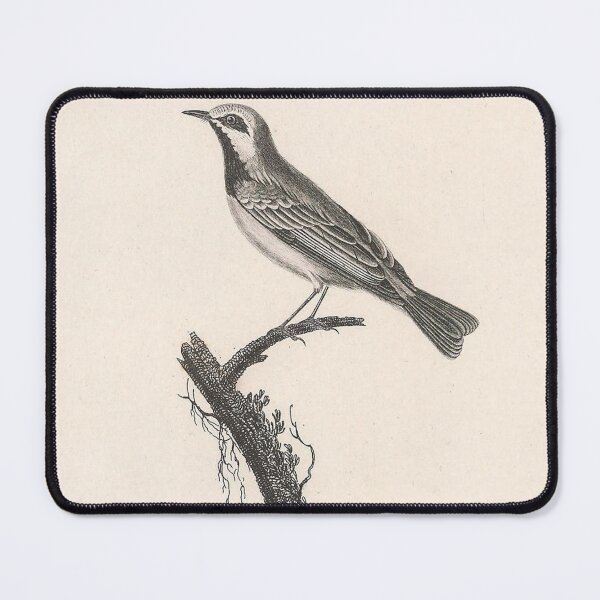 Item preview, The Chrysoptera Warbler designed and sold by ptMaker.