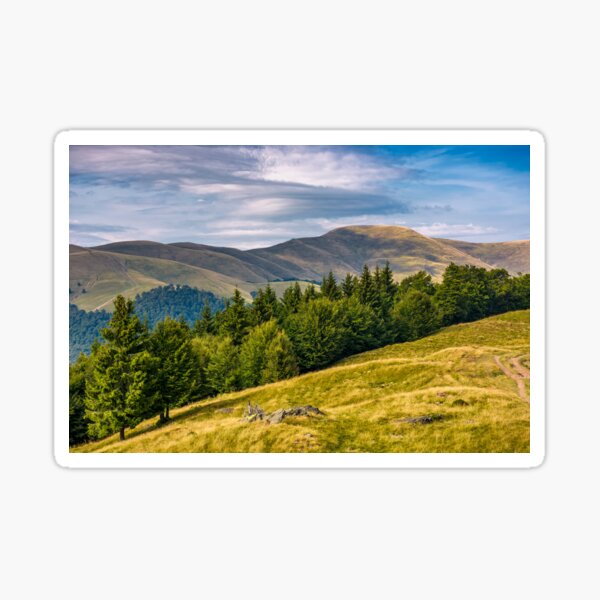 forested hillside of Svydovets mountain ridge Sticker
