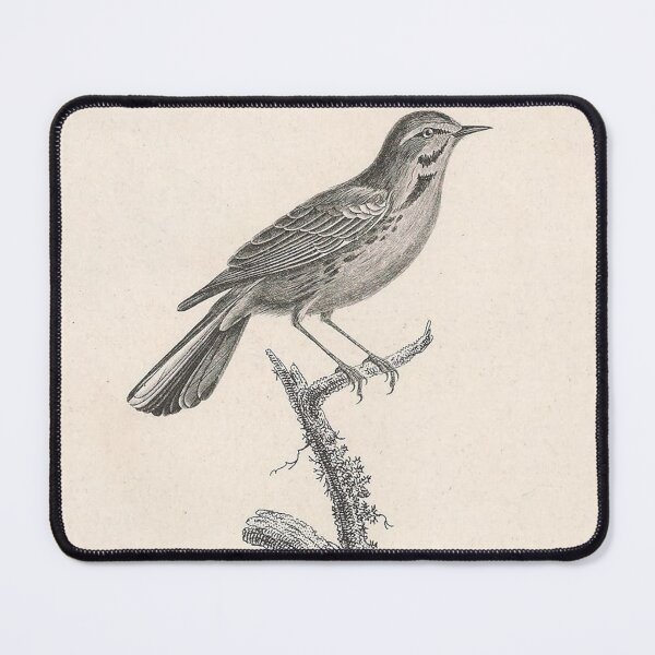 Item preview, The Discolored Warbler designed and sold by ptMaker.
