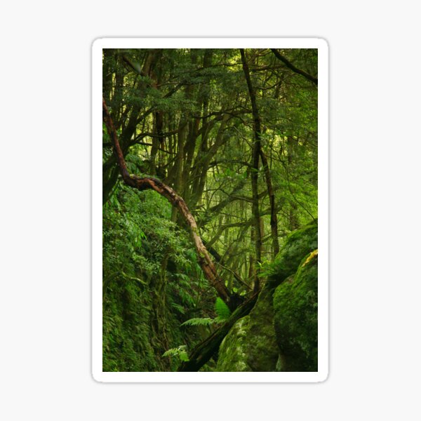 Item preview, Forest designed and sold by Gaspar Avila.