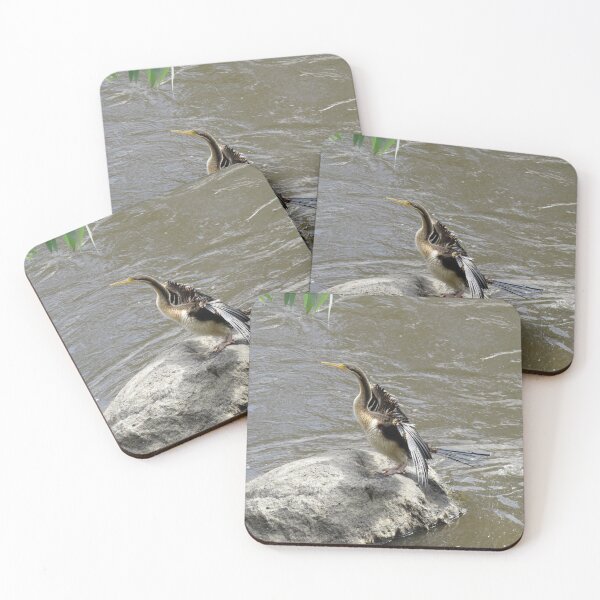 Item preview, Australasian darter designed and sold by greentiger1.