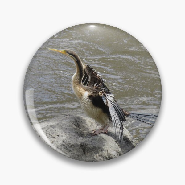 Item preview, Australasian darter designed and sold by greentiger1.