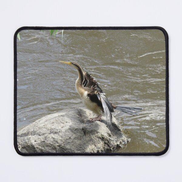 Item preview, Australasian darter designed and sold by greentiger1.