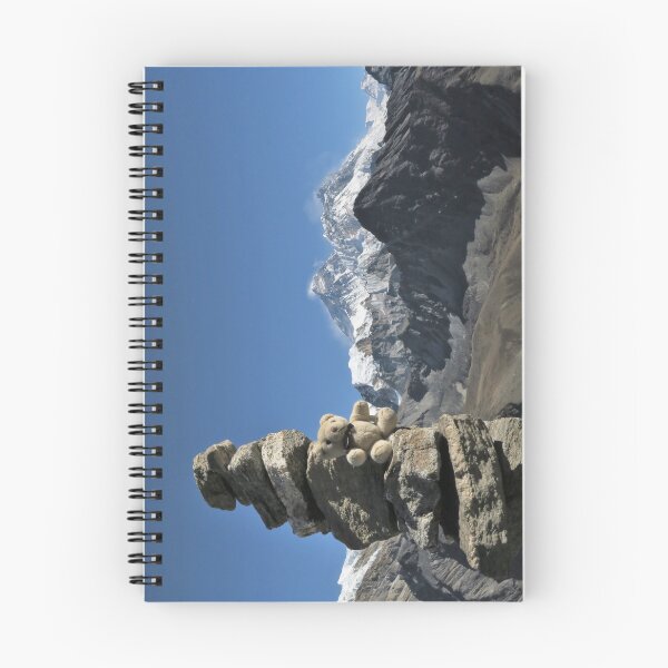 Item preview, Little Ted, Mani Stone & Mount Everest designed and sold by wiggyofipswich.