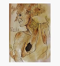 Ent Photographic Print