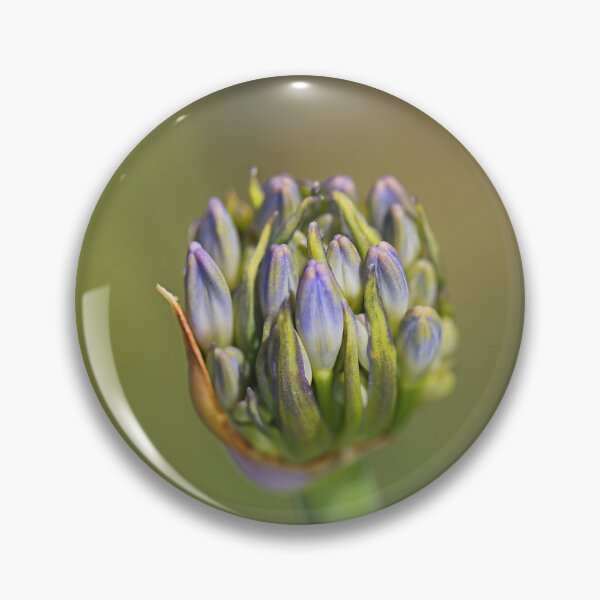 Item preview, Agapanthus Bud Blue Flower Ball  designed and sold by Joy Watson - Natural Light Photography .