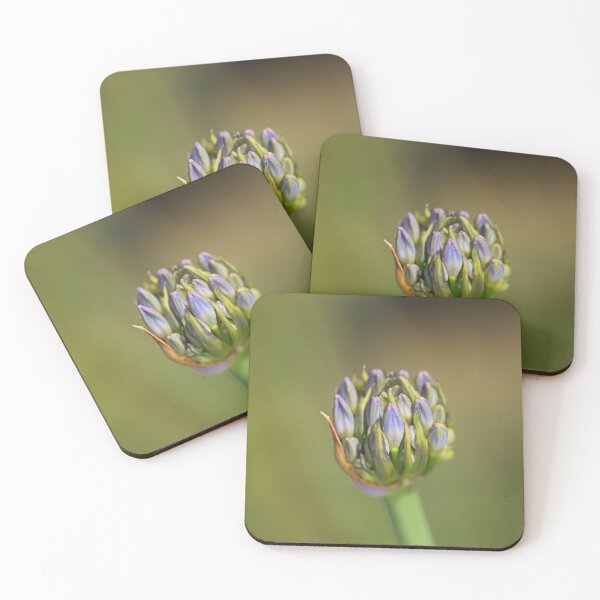 Item preview, Agapanthus Bud Blue Flower Ball  designed and sold by Joy Watson - Natural Light Photography .
