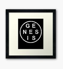 Stylish Genesis Bible Framed Print
