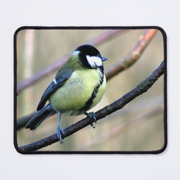 Item preview, perching designed and sold by KathleenDawson.