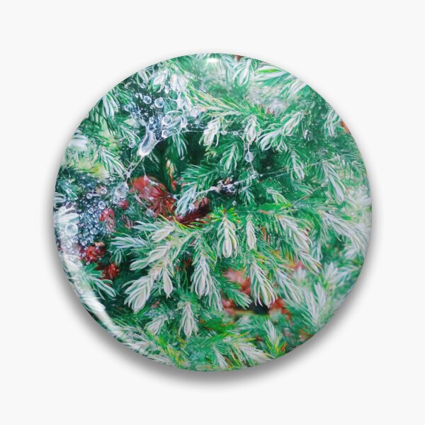 Item preview, Fir tree covered with drops of rain designed and sold by helenkaiy.