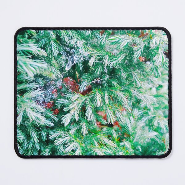 Item preview, Fir tree covered with drops of rain designed and sold by helenkaiy.