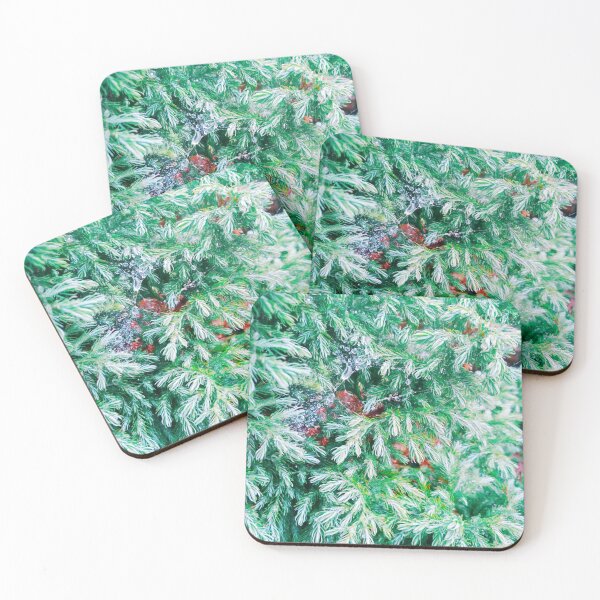 Item preview, Fir tree covered with drops of rain designed and sold by helenkaiy.