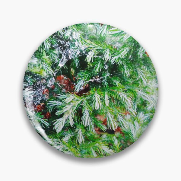 Item preview, Fir tree covered with drops of rain designed and sold by helenkaiy.