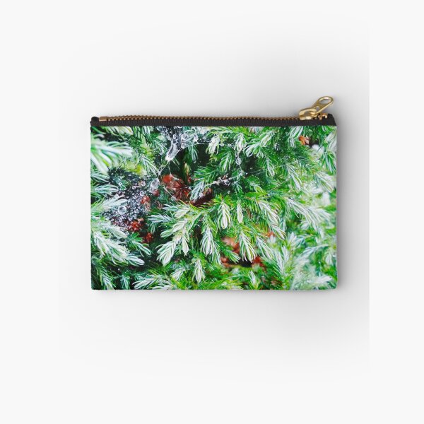 Item preview, Fir tree covered with drops of rain designed and sold by helenkaiy.