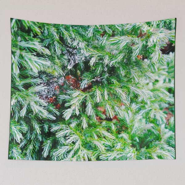 Item preview, Fir tree covered with drops of rain designed and sold by helenkaiy.