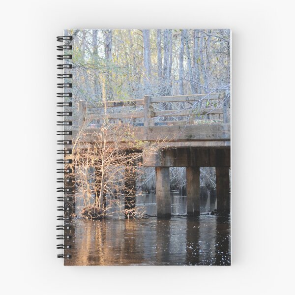 Item preview, Ray of light on Ohoopee River designed and sold by Randell Meeks.