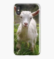 Baby goat iPhone Case