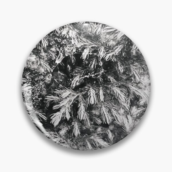 Item preview, Fir tree covered with drops of rain designed and sold by helenkaiy.