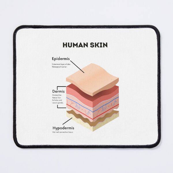 Item preview, Human Anatomy Skin Poster | Human Anatomy Skin Poster t-shirt designed and sold by KARTICK DUTTA.