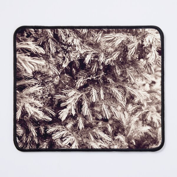 Item preview, Fir tree covered with drops of rain designed and sold by helenkaiy.