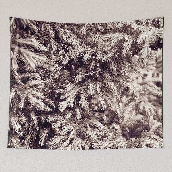 Item preview, Fir tree covered with drops of rain designed and sold by helenkaiy.