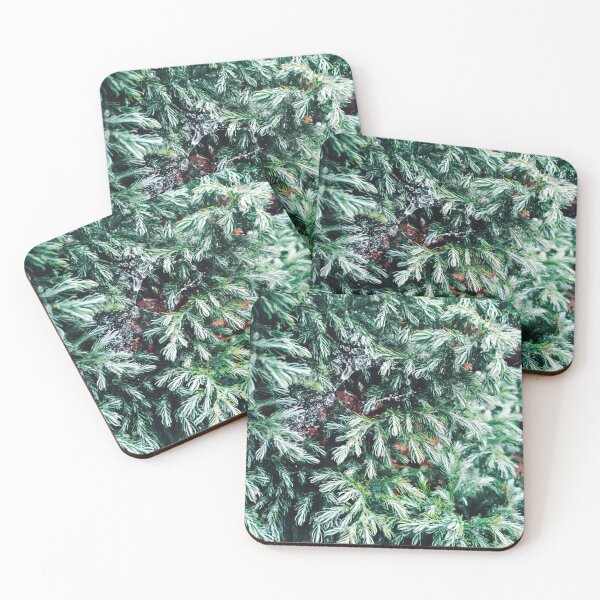 Item preview, Fir tree covered with drops of rain designed and sold by helenkaiy.