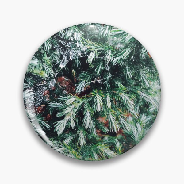 Item preview, Fir tree covered with drops of rain designed and sold by helenkaiy.