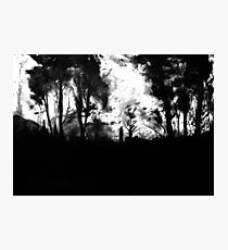 Untitled Photographic Print