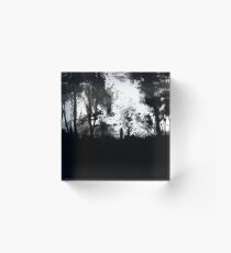 Untitled Acrylic Block