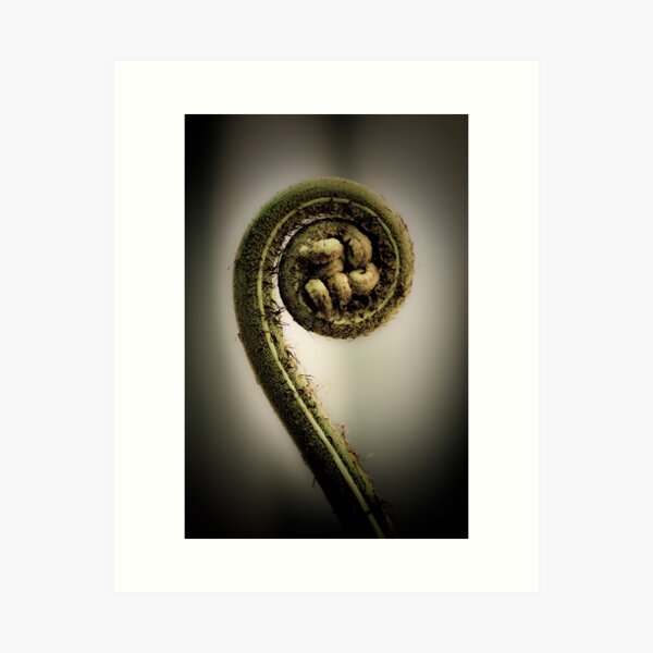 Life's Great Curve Art Print