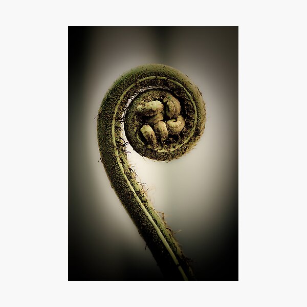 Item preview, Life's Great Curve designed and sold by Geoffrey Dunn.