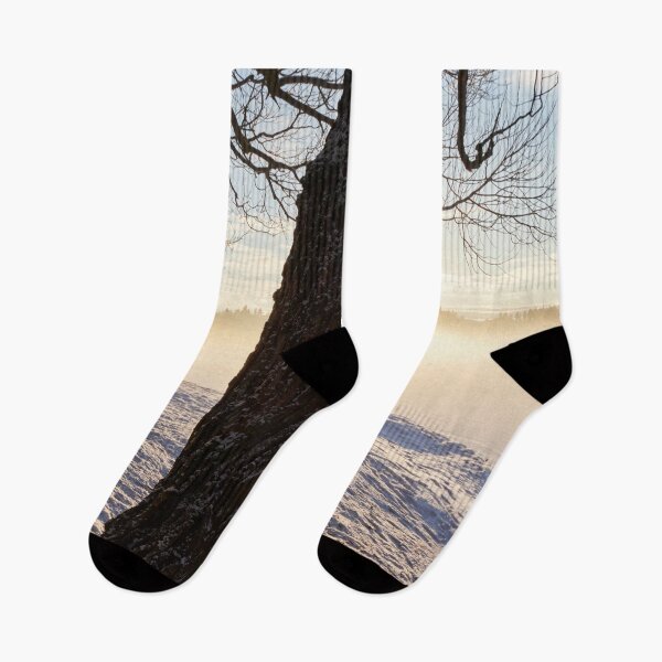 Item preview, Greetings from the park. Tampere Arboretum designed and sold by Jouko Lehto Photography.