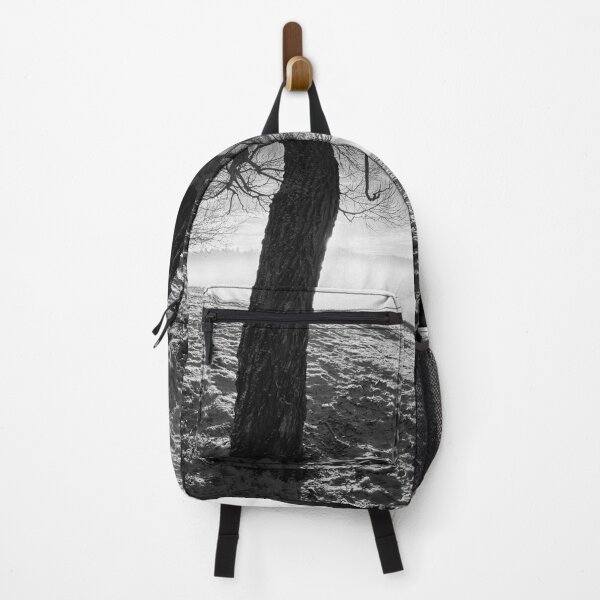 Item preview, Greetings from the park. Tampere Arboretum bw designed and sold by Jouko Lehto Photography.