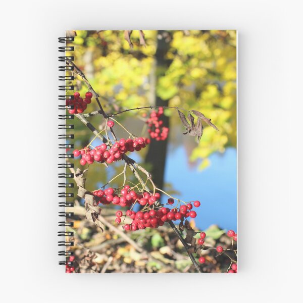 Item preview, Red berries of mountain ash sun illuminates designed and sold by mrivserg.