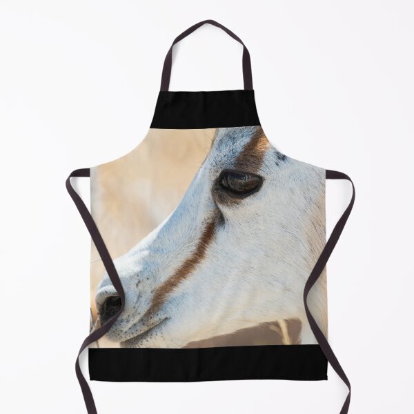 Item preview, Springbok Portrait - Etosha National Park, Namibia designed and sold by holgermader.