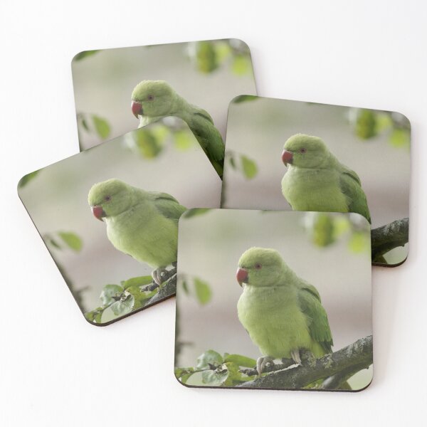 Item preview, Parakeet in an apple tree!  designed and sold by jmwilesphotos.