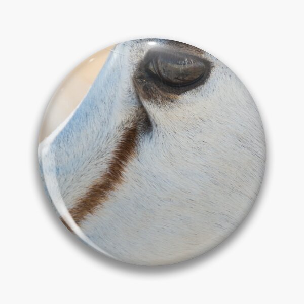 Item preview, Springbok Portrait - Etosha National Park, Namibia designed and sold by holgermader.