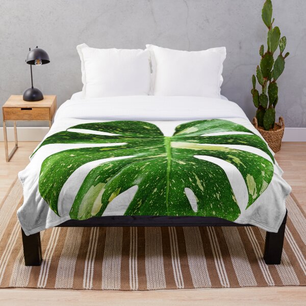 Item preview, Unique and organic photo of a Monstera Thai Constellation 3 designed and sold by AvonPerception.