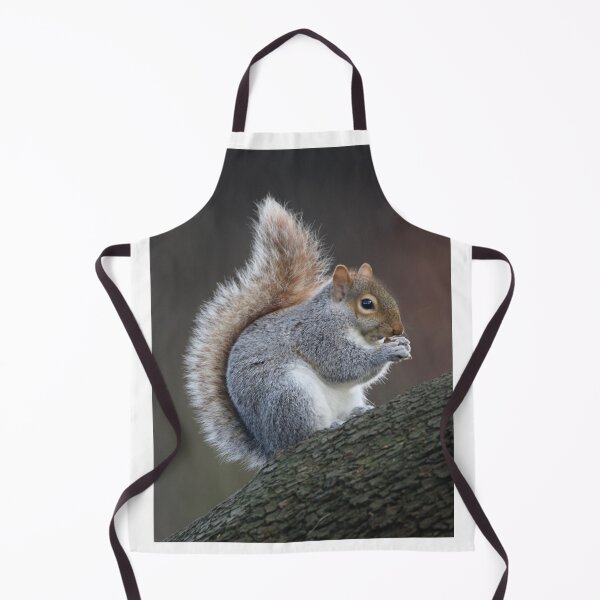 Item preview, Cute Squirrel designed and sold by jmwilesphotos.
